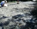 Dinosaur08.jpg