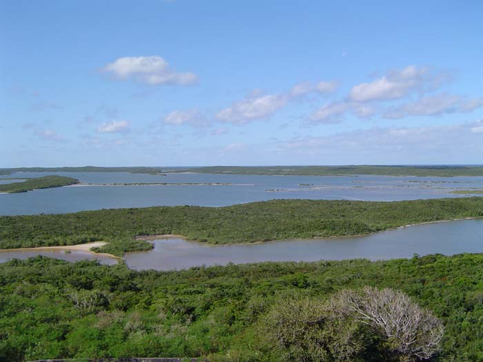 as_sansal04-011