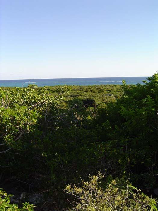 as_sansal04-029