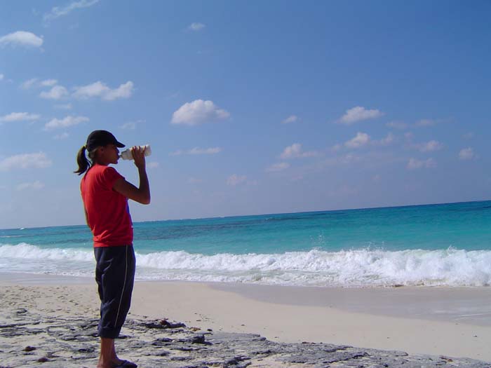 as_sansal04-050