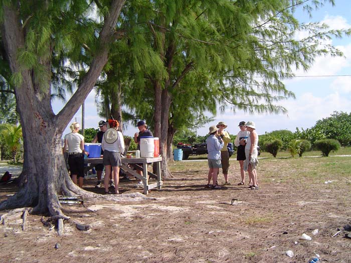 as_sansal04-055