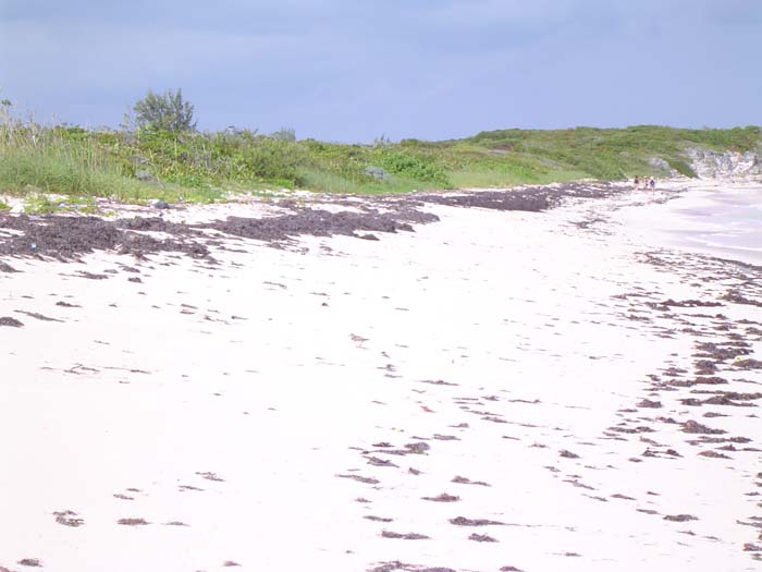 as_sansal04-062
