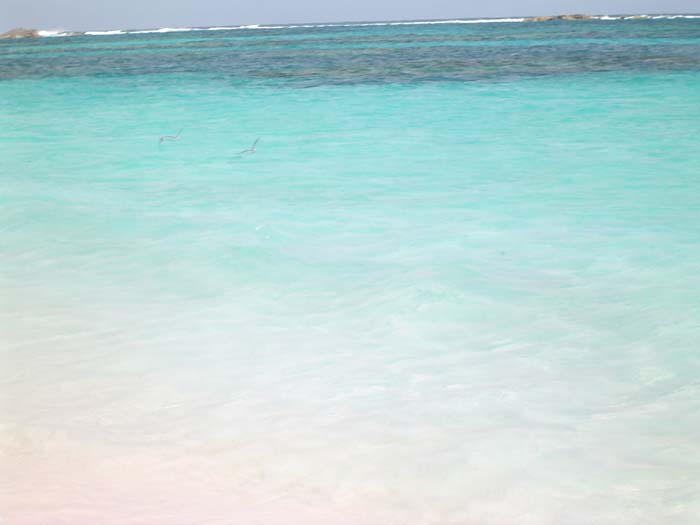 as_sansal04-064