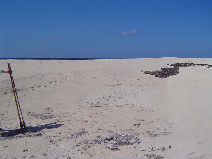 as_sansal04-080