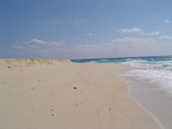 as_sansal04-081