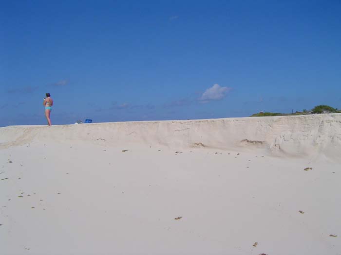 as_sansal04-082
