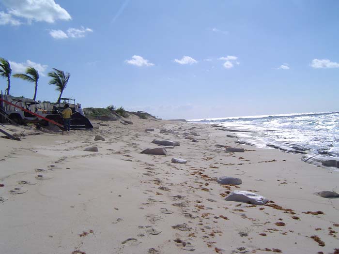 as_sansal04-095