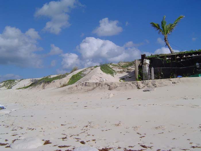 as_sansal04-097