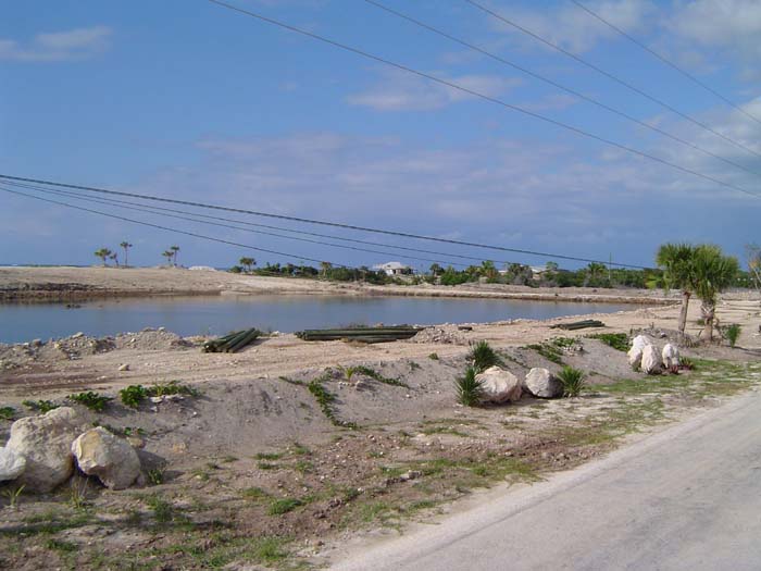 as_sansal04-124