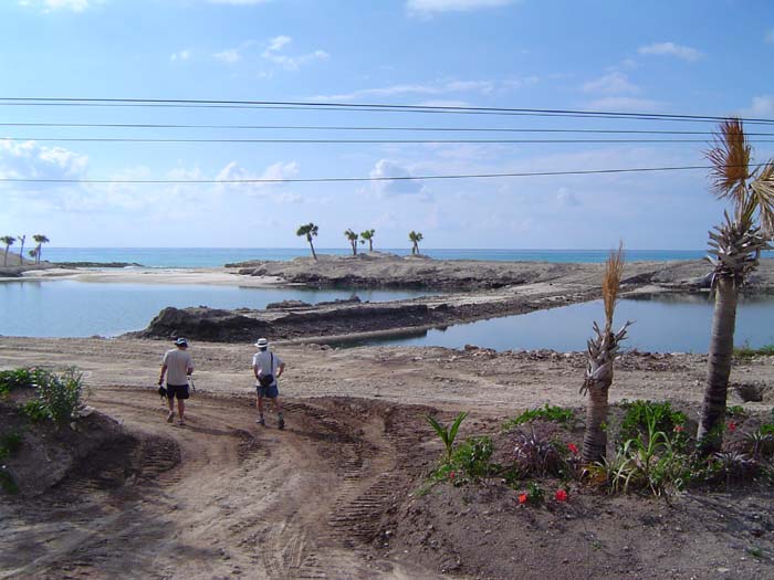 as_sansal04-125