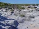 as_sansal04-006