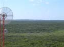 as_sansal04-016