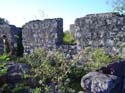 as_sansal04-024