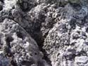 as_sansal04-041