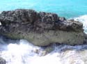 as_sansal04-046