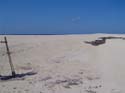 as_sansal04-080