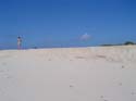as_sansal04-082