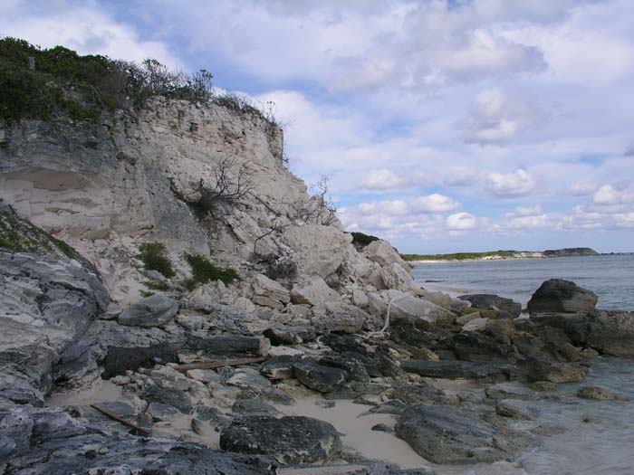 sansal04-109