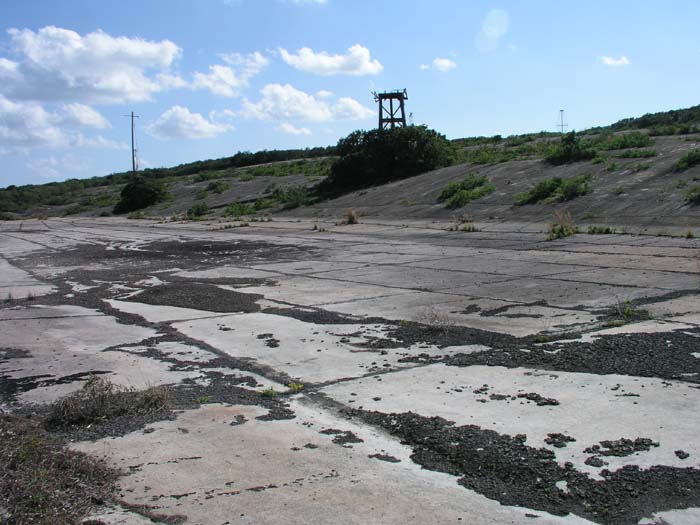 sansal04-270