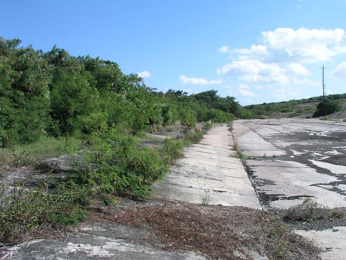 sansal04-271