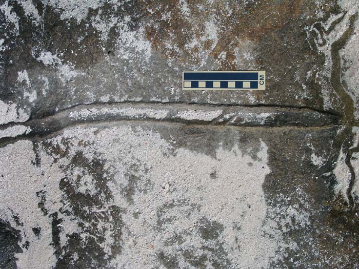 sansal04-305