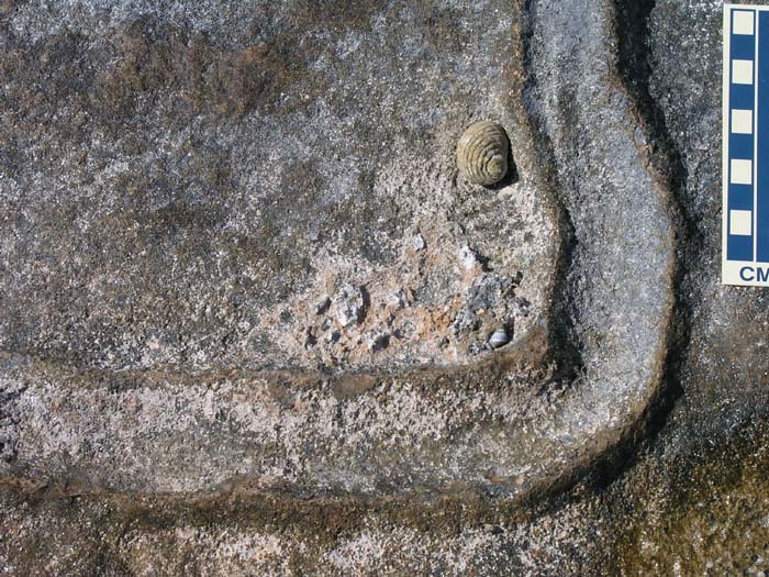 sansal04-309