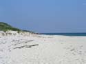 sansal04-165