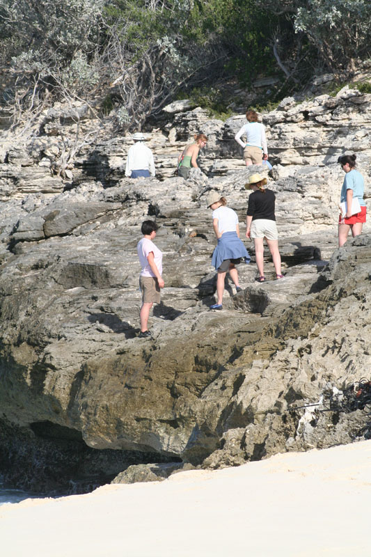 IMG_0181