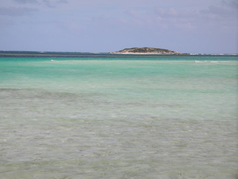 DSCN0053