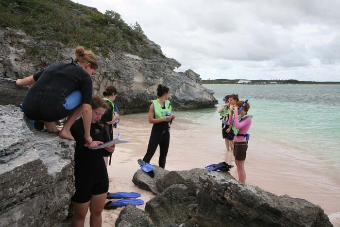 IMG_3853
