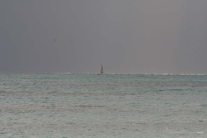 IMG_4071