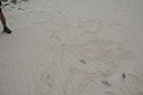 IMG_7061