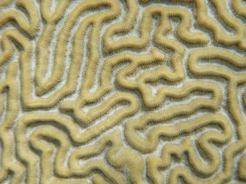 P1140254