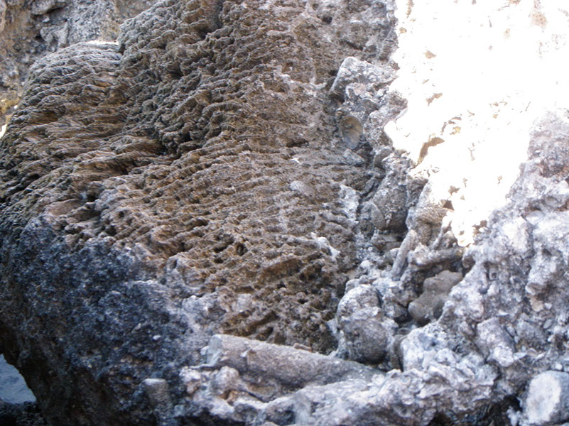P1150309