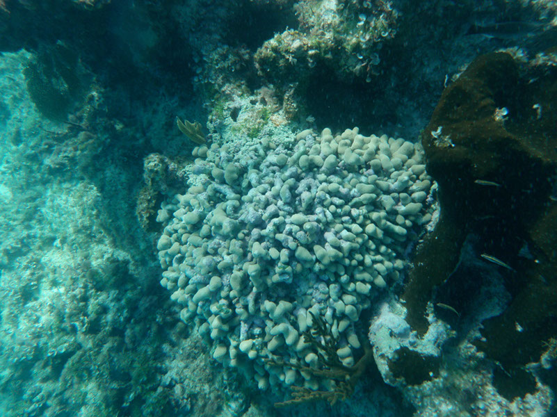 P1140273