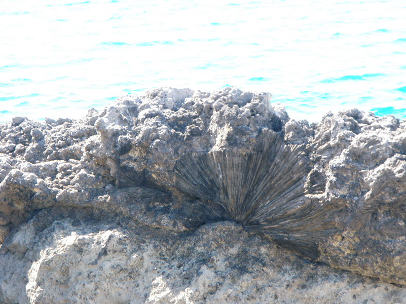 P1150312