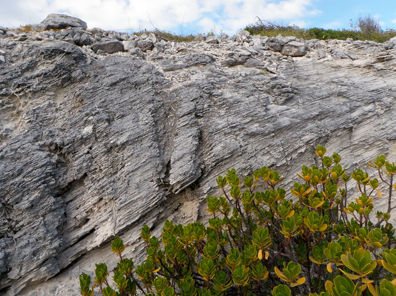 P1120145