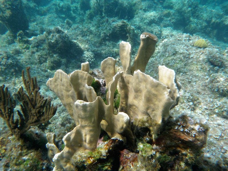 P1140256