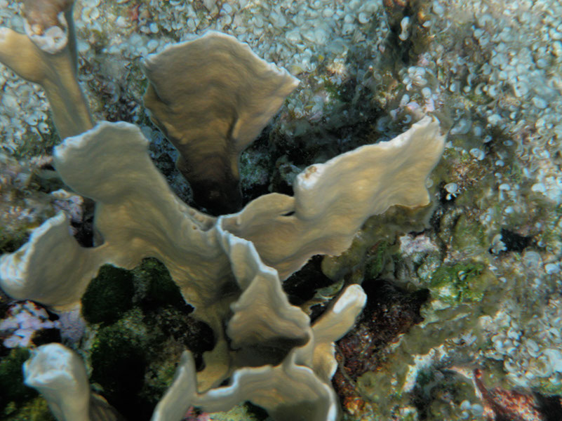 P1140230