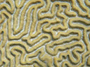 P1140254