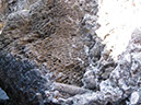 P1150309