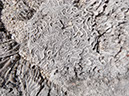 P1150320