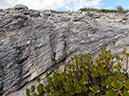 P1120145