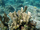 P1140256