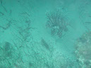 P1140293