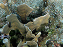 P1140230