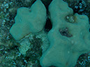 P1140239