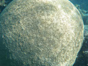P1140229
