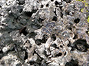 P1160375
