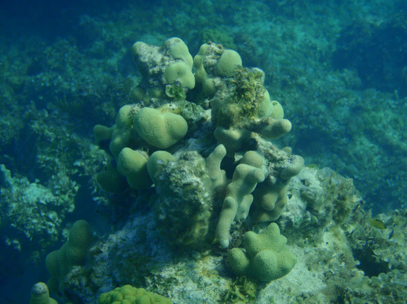 P1140051